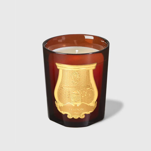 Bougie Parfumée Cire - 270g - Trudon - 2