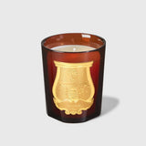 Bougie haut de gamme Trudon notes miel bois ciré fêve tonka
