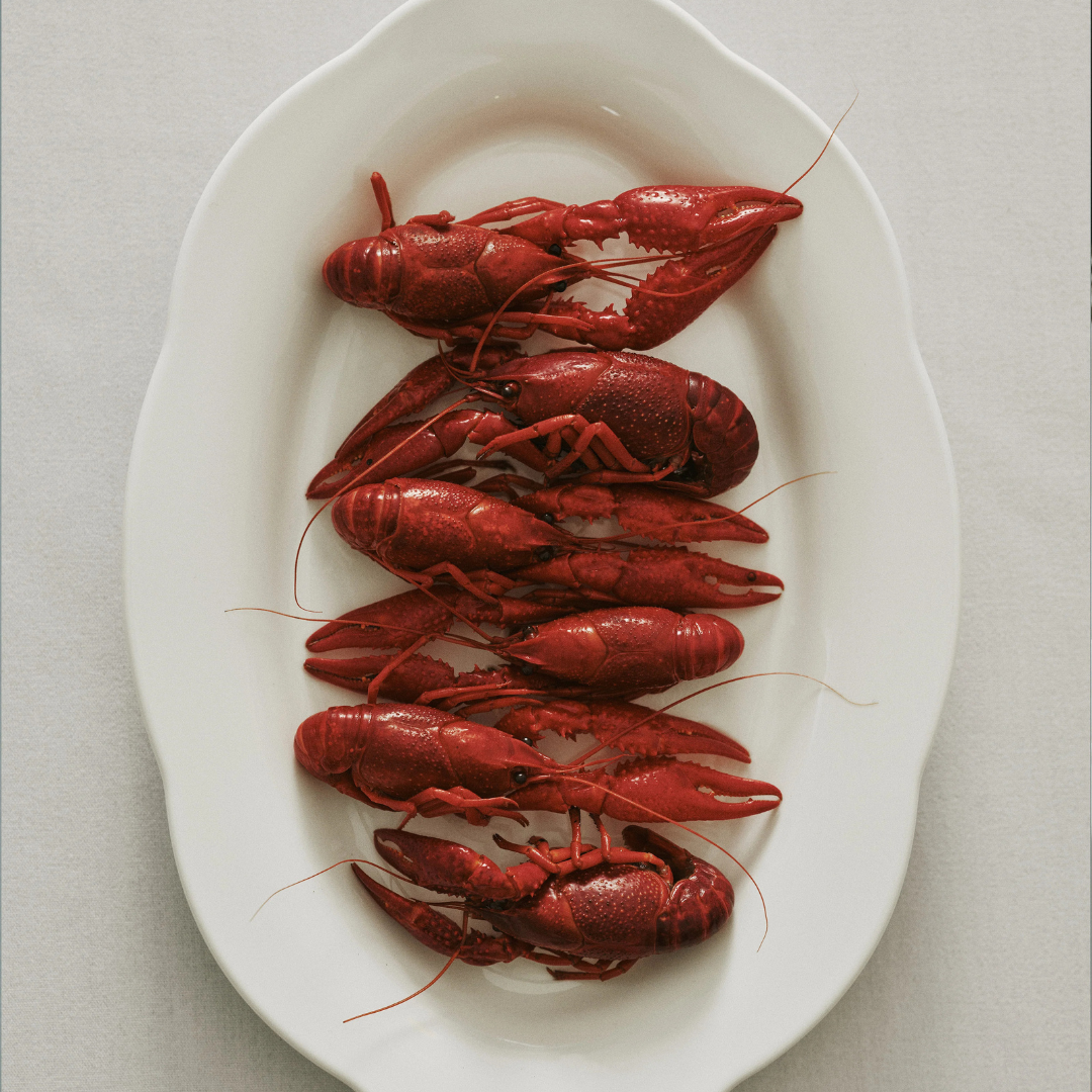 Assiette creuse ovale 24,5 cm - Silhouette par Sergio Herman - Serax