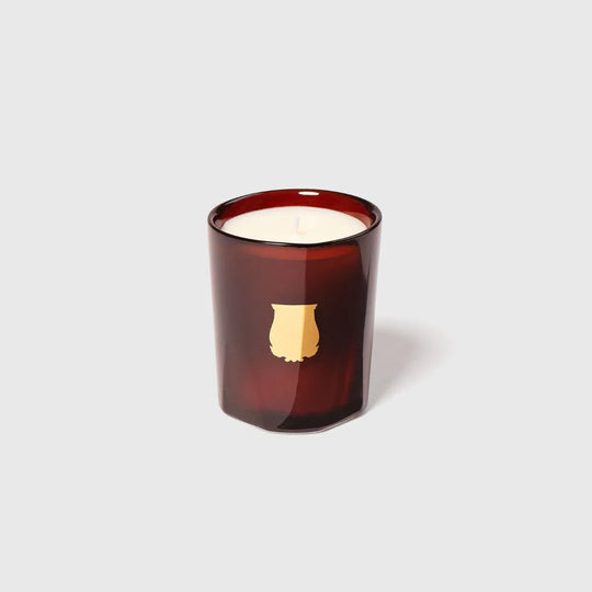 Bougie de luxe Trudon Cire avec absolu de cire d'abeille, parfum artisanal haut de gamme en verre signature