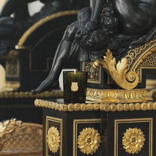 Détail des notes de senteur : agrumes, fleur d'oranger et bois - Bougie Trudon