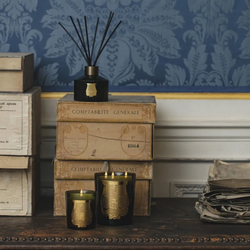 Bougie Parfumée Ernesto - 800g - Trudon