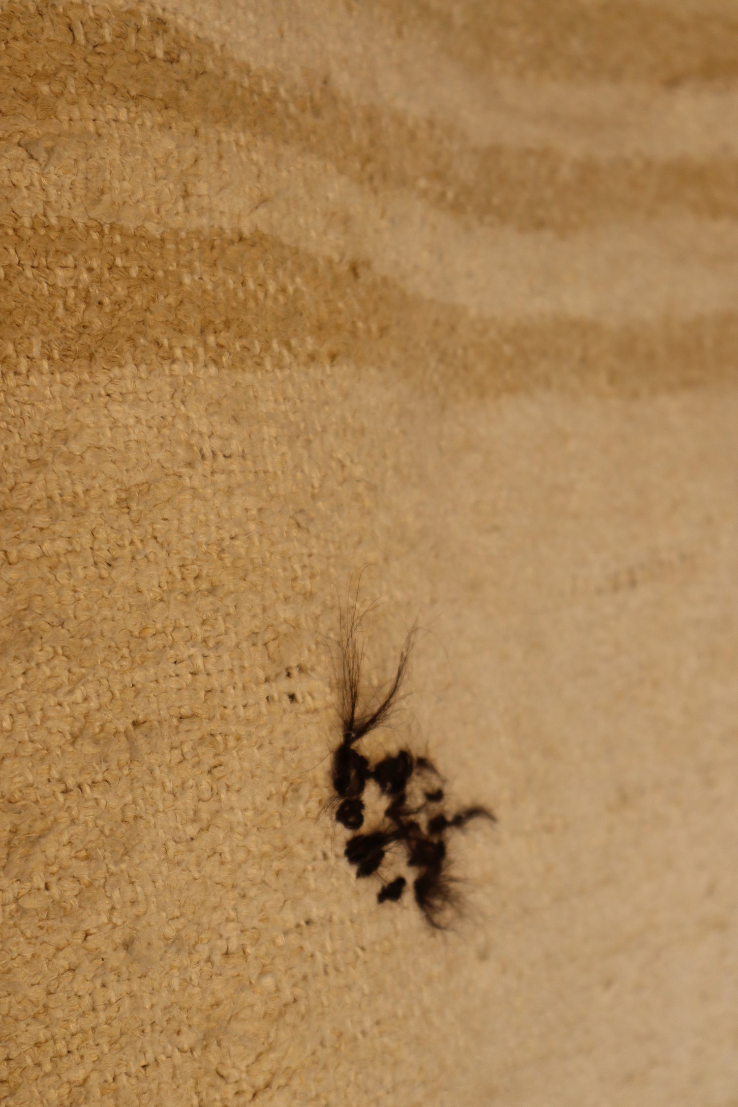 Tapis Kendir en chanvre recyclé - 280x185 cm