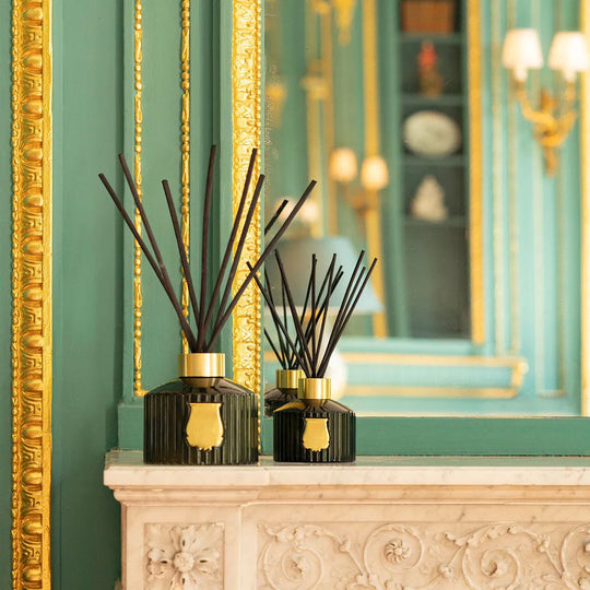 Diffuseur de parfum premium Ernesto Trudon contenance 1 litre pour salon et hall d'entrée