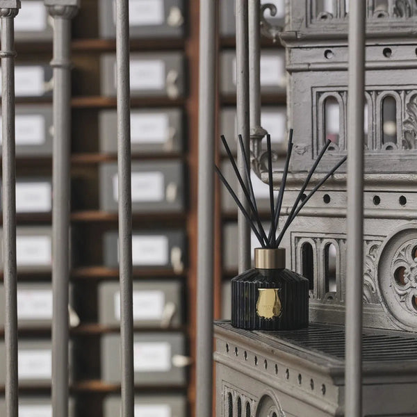 Le diffuseur Ernesto - 350ml - Trudon